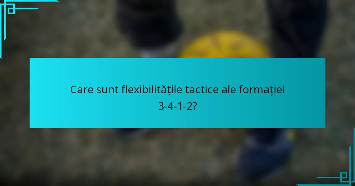 Care sunt flexibilitățile tactice ale formației 3-4-1-2?