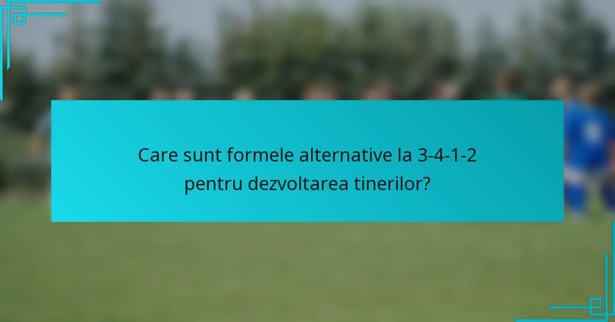 Care sunt formele alternative la 3-4-1-2 pentru dezvoltarea tinerilor?