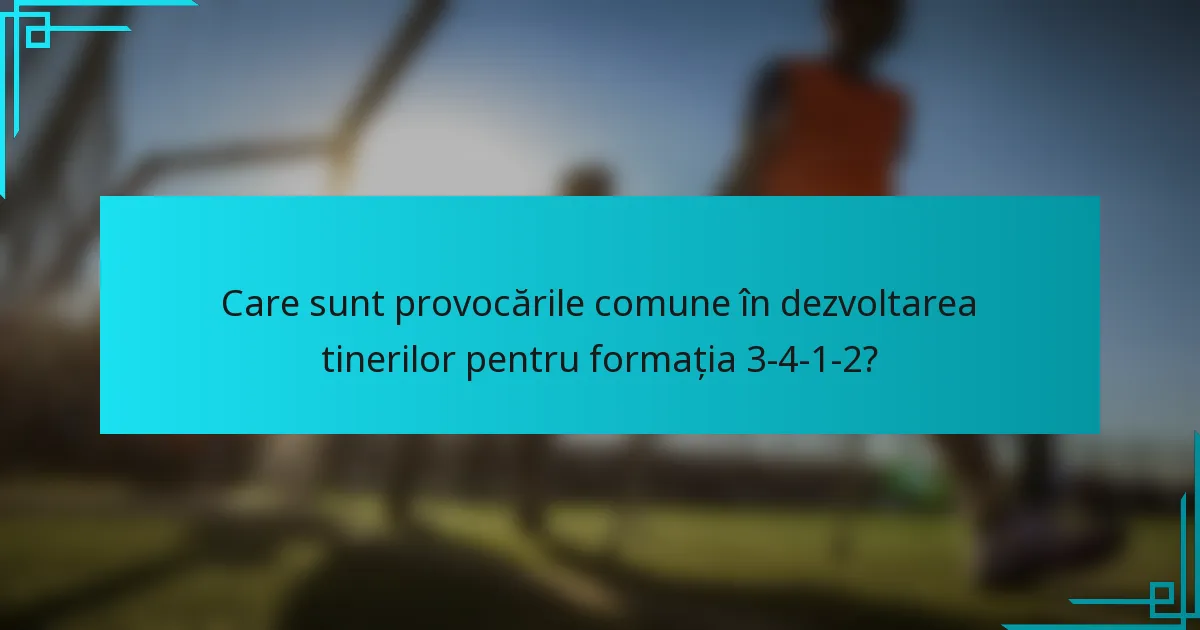 Care sunt provocările comune în dezvoltarea tinerilor pentru formația 3-4-1-2?