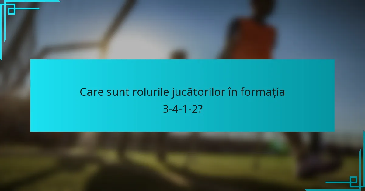 Care sunt rolurile jucătorilor în formația 3-4-1-2?