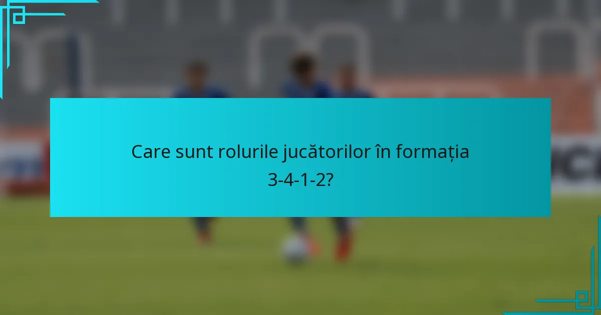Care sunt rolurile jucătorilor în formația 3-4-1-2?
