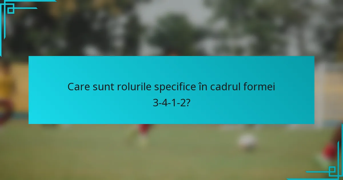 Care sunt rolurile specifice în cadrul formei 3-4-1-2?