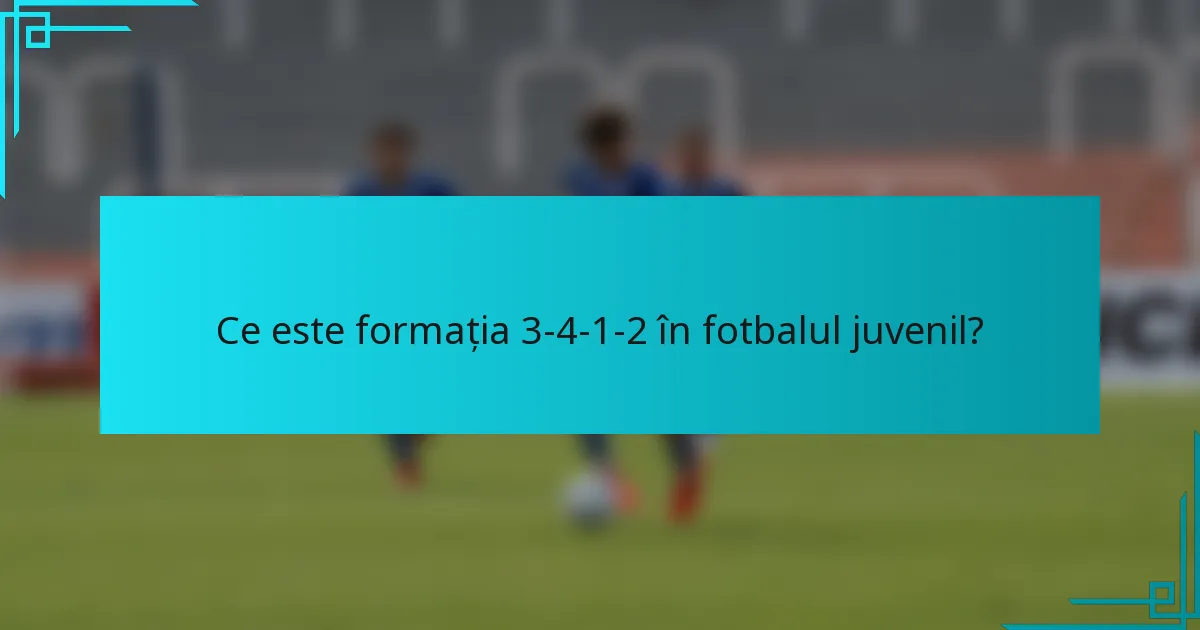 Ce este formația 3-4-1-2 în fotbalul juvenil?