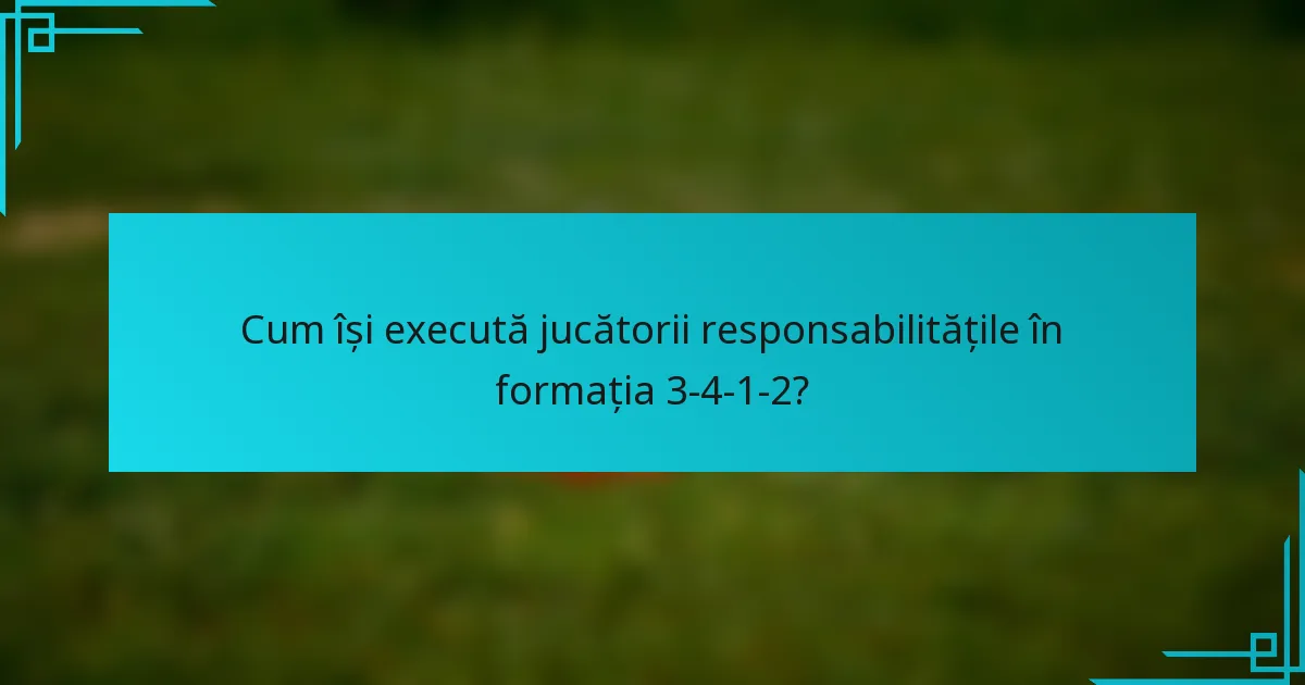 Cum își execută jucătorii responsabilitățile în formația 3-4-1-2?